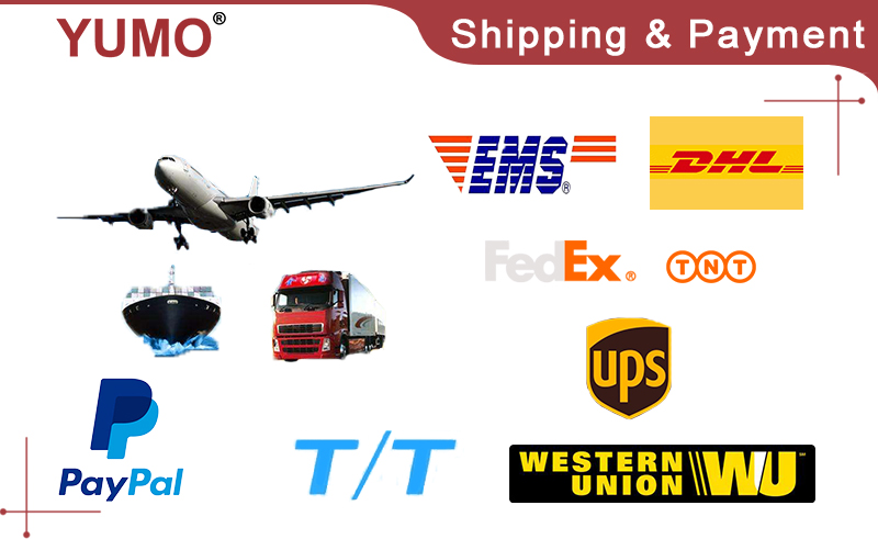 Shipping and Payment