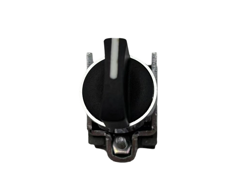 LAY4-BD33 Rotary Push Button
