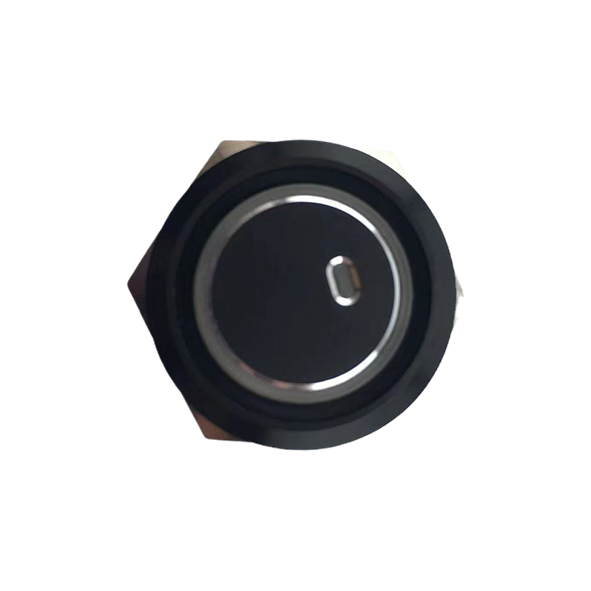 19mm MAX 16A 1NO IP65 Green Ring Light Black Self-locking Metal Push Button Switch